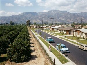 Covina changing from citrus groves to suburbs